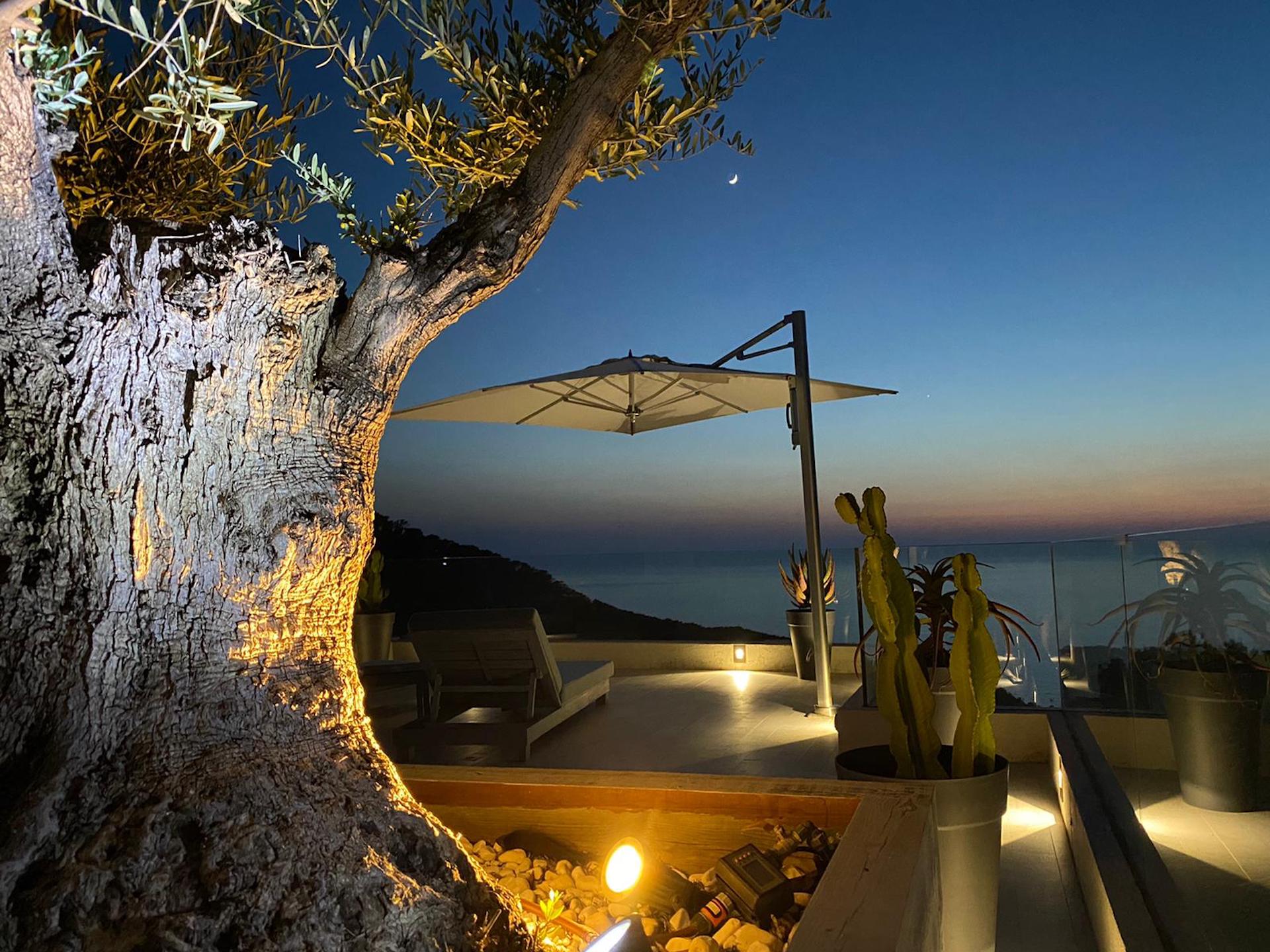 resa estates villa for sale cala vadella sea views ibiza views night.jpg
